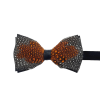 EDISON