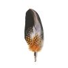 EDISON combination - Image 2